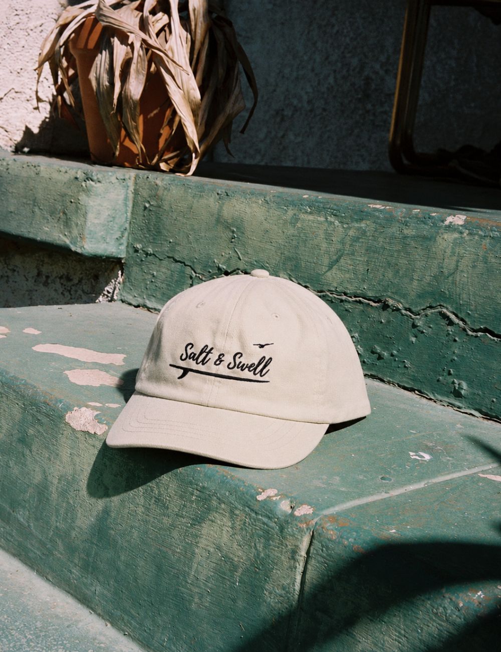Salt & Swell Seabird