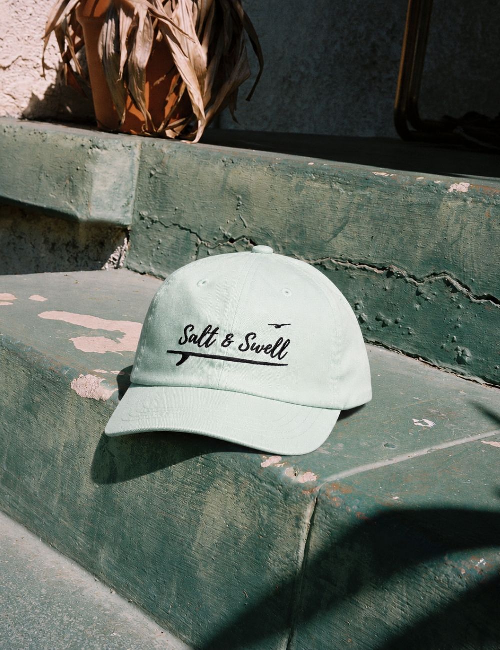 Salt & Swell Seabird